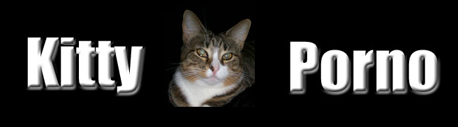 Kitty Porno