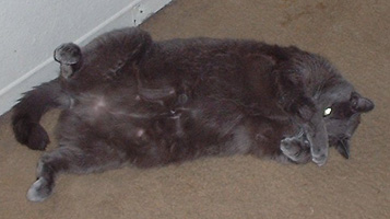 Not Another Picture!